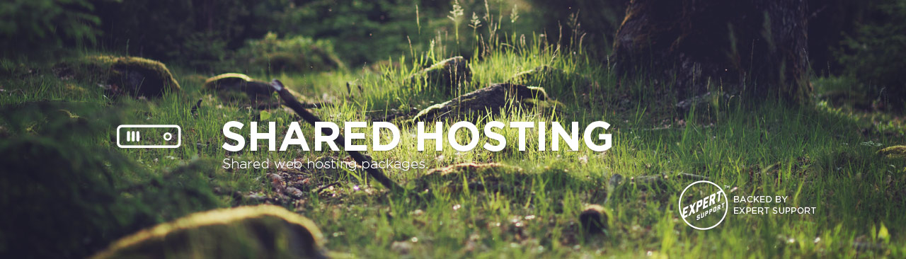 Brinkster Shared Hosting